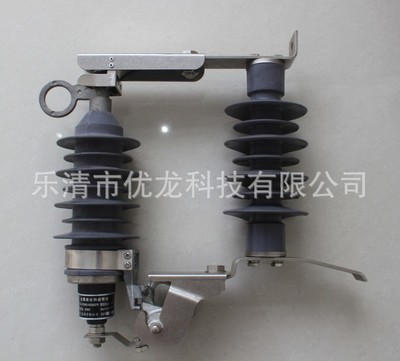 电力系统守护神 深入解析热销精品HY5WS-10/30DL跌落式交流无间隙氧化锌避雷器