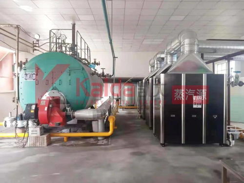 真低氮选凯大 食品厂4台1t超低氮变频蒸汽源机组完美替换4t传统燃气锅炉及避雷方案解析
